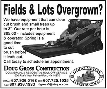 lots-overgrown-ad